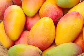 mangoes