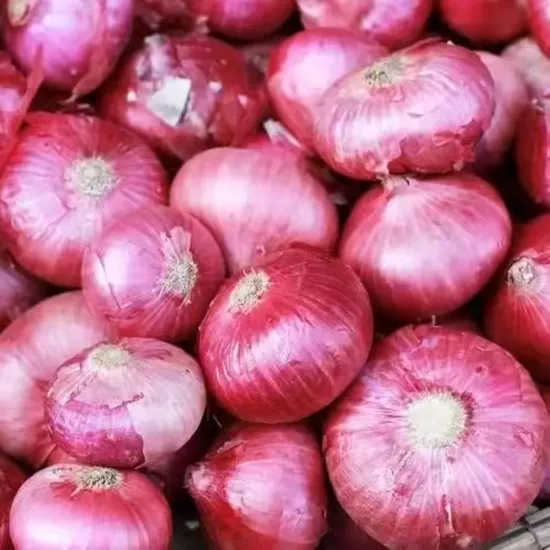 onion